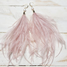 Load image into Gallery viewer, SWAN LAKE BLUSH FEATHERS